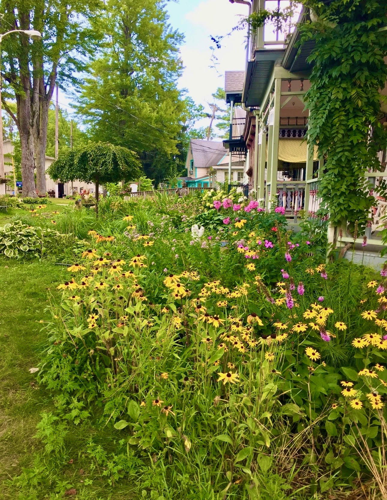 Flower gardens beside Aurora Guest House